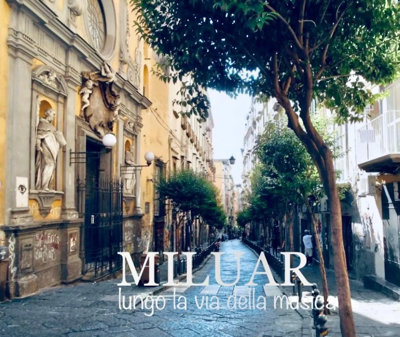 Bed and Breakfast Miluar - Centro Storico - Lungo La Via Della Musica Neapel